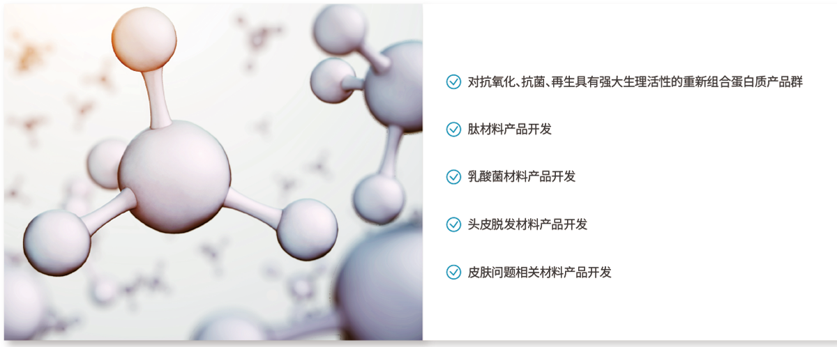 항산화, 항균, 재생에 높은 생리활성 재조합 단백질 제품군,펩타이드 소재 제품개발,유산균 소재 제품개발,두피 탈모 소재 제품개발,트러블 관련 소재 제품 개발