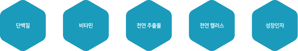 단백질,비타민,천연추출물,천연 캘러스, 성장인자