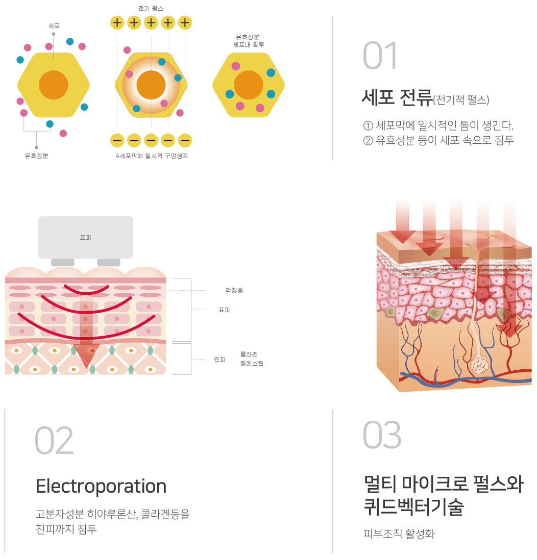 세포전류(전기적 펄스) : ① 세포막에 일시적인 틈이 생긴다.② 유효성분 등이 세포 속으로 침투,Electroporation:고분자성분 히야루론산, 콜라겐등을 진피까지 침투,멀티 마이크로 펄스와 퀴드벡터기술:피부조직 활성화 
